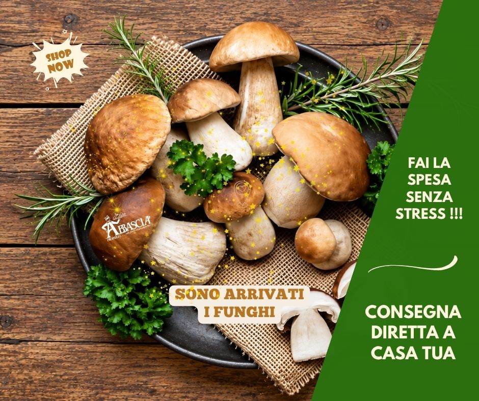 Funghi Porcini: Proprietà Nutrizionali, Varietà, Come Pulirli, Cucinarli e Conservarli